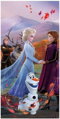 Jerry Fabrics Disney povlečení do postýlky Frozen 2 Wind baby 100x135, 40x60 cm