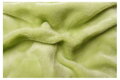 Svitap Prostěradlo mikroflanel pistáciové 180x200x20 cm