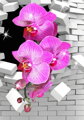 3D obraz Orchidej
