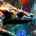 Obraz Chameleon v barvách