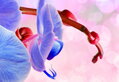 Vícedílný obraz - Modrá orchidej
