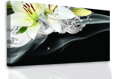 Lilie a diamanty