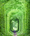 Obraz zelený tunel
