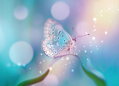 Tapeta Motýl bokeh