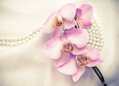 Tapeta Orchidej a perly