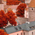 Obraz Město Tallinn
