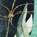 Tapeta Rostliny