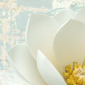 Tapeta 3D Magnolie