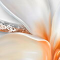 Tapeta Magnolie s motýly