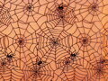 Organza pavučina