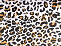 Bavlněná látka / plátno gepard