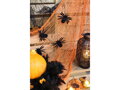 Sametový pavouk Halloween