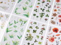 Průhledné samolepky květin a rostlin
