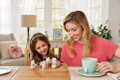 Sylvanian Families rodina Latte kočky set 4 figurky kočičí rodinka