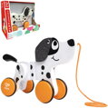 HAPE DŘEVO Tahačka baby tahací pes Dalmatin *DŘEVĚNÉ HRAČKY*