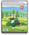 Pokémon Ultra Pro GS Morning Meadow album sběratelské A5 na 84 karet