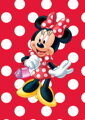 JIRI MODELS 100 samolepek s omalovánkami Disney Minnie Mouse
