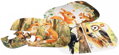 ALBI KVÍDO Zvířátka z lesa Karty a puzzle pro Mluvicí tablík (rozšíření)