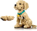 LEGO ICONS Štěně zlatého retrívra 11384 STAVEBNICE
