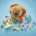 LEGO DUPLO Prasátko Peppa Pig a supermarket 10434 STAVEBNICE