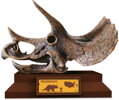 ALBI Science Lovci lebek Triceratops vykopej a vystav si lebku dinosaura