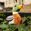 PLYŠ Kachna 22cm Eco-Friendly *PLYŠOVÉ HRAČKY*