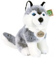 PLYŠ Pes Husky 30cm sedící Eco-Friendly *PLYŠOVÉ HRAČKY*
