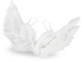 KARNEVAL Křídla andělská s peřím 50cm *KARNEVALOVÝ DOPLNĚK*