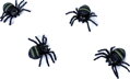 Zvířátko pavouk malý set 4ks halloween dekorace na kartě