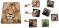 EFKO HRA Lototrio Zvířata v ZOO 1