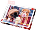 TREFL PUZZLE Foto Pejsci Čas na zmrzlinu 500 dílků 48x34cm 137272