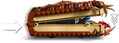 LEGO HARRY POTTER Hryzající kniha 76449 STAVEBNICE
