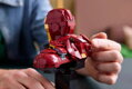 LEGO MARVEL Busta Iron Man MK4 76327 STAVEBNICE