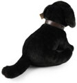 PLYŠ Pes labrador černý 25cm s vodítkem Eco-Friendly *PLYŠOVÉ HRAČKY*