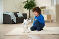SIMBA Chi Chi Love Happy Husky interaktivní pejsek na baterie Zvuk