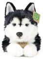 PLYŠ Pes husky 36cm ležící Eco-Friendly *PLYŠOVÉ HRAČKY*