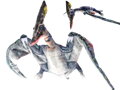 PLYŠ Pterosaurus 66cm *PLYŠOVÉ HRAČKY*