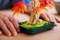 LEGO BOTANICALS Bonsaj japonský červený javor 10348 STAVEBNICE