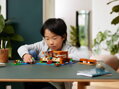 LEGO MINECRAFT Žabí domek 21256 STAVEBNICE