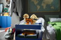 LEGO POKÉMON Arcanine 72160 STAVEBNICE