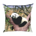 Dadka Fotopolštářek Panda 40x40 cm
