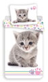 Jerry Fabrics Povlečení fototisk Kitten colour 140x200, 70x90 cm