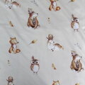 Jerry Fabrics Povlečení do postýlky Zvířátka Woodland baby 100x135, 40x60 cm