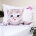 Jerry Fabrics Povlečení fototisk Kitten colour 140x200, 70x90 cm
