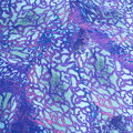 Jerry Fabrics Povlečení Jak vycvičit draka 140x200, 70x90 cm