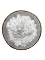 iPlody Erythritol moučka 1 kg