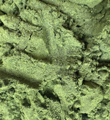 iPlody Chlorella prášek BIO 200 g