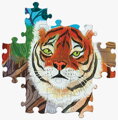 EEBOO Čtvercové puzzle Planeta Země 1000 dílků