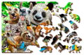 WOODEN CITY Dřevěné puzzle Medvědí ráj 2v1, 75 dílků EKO