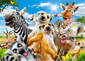 CASTORLAND Puzzle Africké selfie 260 dílků